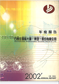 2002年度报告