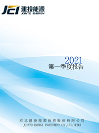 2021年第一季度报告全文