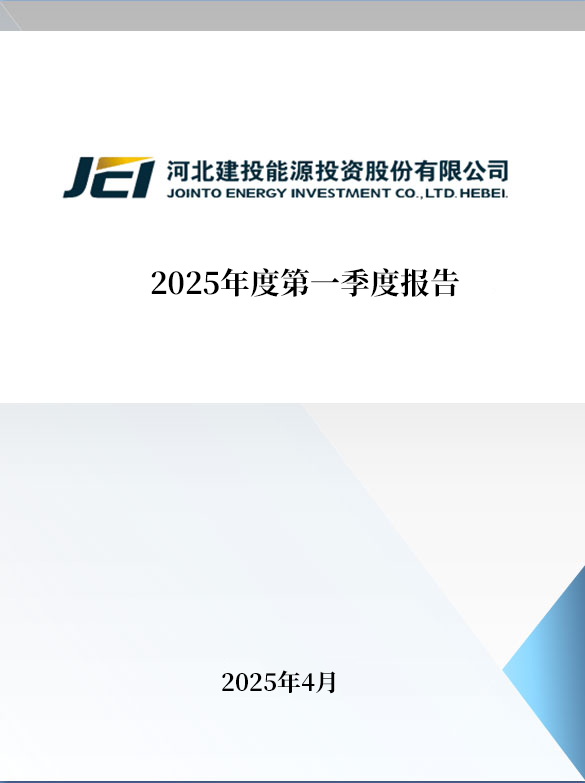 2025年第一季度报告